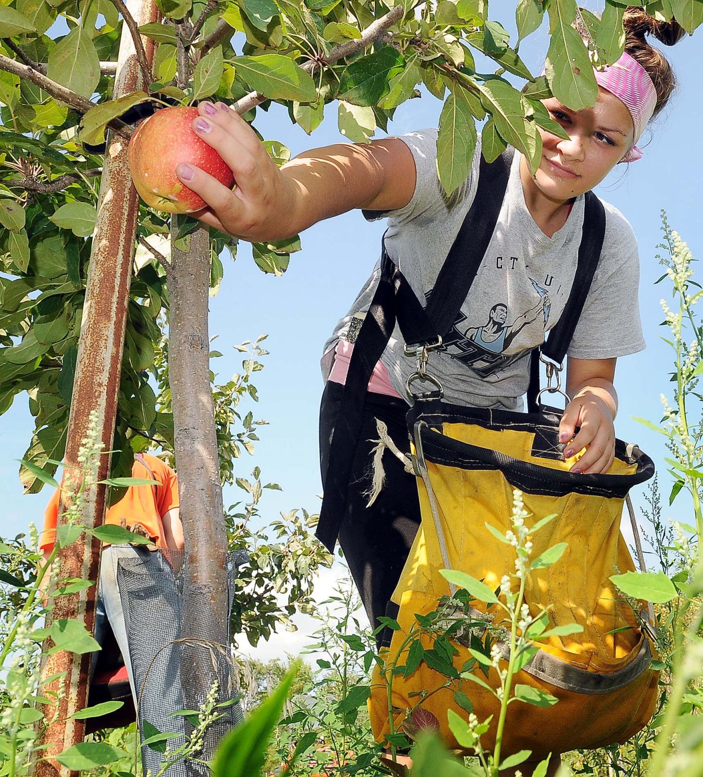 Montgomery Orchard